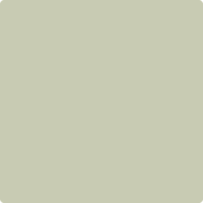 Benjamin Moore's 2144-40 Soft Fern Paint Color