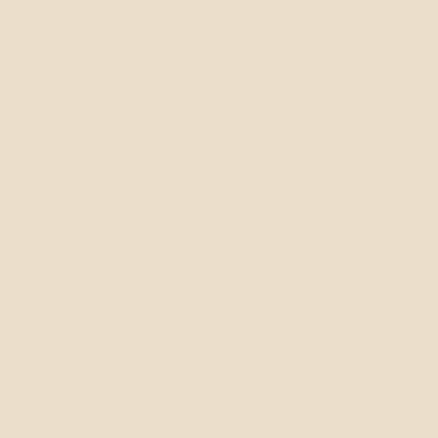 Benjamin Moore Color CC-340 Lambskin
