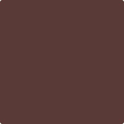 Benjamin Moore Color CC-2 Raphael wet, dry color sample.
