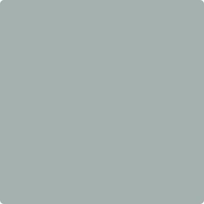 Benjamin Moore Color CC-720 Night Train