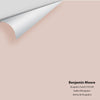 Digital color swatch of Benjamin Moore's Acapulco Sand 2105-60 Peel & Stick Sample available at Ricciardi BRothers in PA, DE, & NJ.