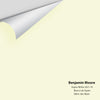 Digital color swatch of Benjamin Moore's Aspen White 2027-70 Peel & Stick Sample available at Ricciardi BRothers in PA, DE, & NJ.