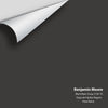 Digital color swatch of Benjamin Moore's Black Bean Soup (2130-10) Peel & Stick Sample available at Ricciardi BRothers in PA, DE, & NJ.