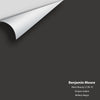 Digital color swatch of Benjamin Moore's Black Beauty (2128-10) Peel & Stick Sample available at Ricciardi BRothers in PA, DE, & NJ.