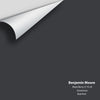 Digital color swatch of Benjamin Moore's Black Berry (2119-20) Peel & Stick Sample available at Ricciardi BRothers in PA, DE, & NJ.