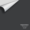 Digital color swatch of Benjamin Moore's Black Iron (2120-20) Peel & Stick Sample available at Ricciardi BRothers in PA, DE, & NJ.