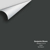 Digital color swatch of Benjamin Moore's Blacktop (2135-10) Peel & Stick Sample available at Ricciardi BRothers in PA, DE, & NJ.