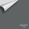 Digital color swatch of Benjamin Moore's Bracken Slate CW-690 Peel & Stick Sample available at Ricciardi BRothers in PA, DE, & NJ.