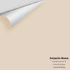 Digital color swatch of Benjamin Moore's Brandy Cream 1030 Peel & Stick Sample available at Ricciardi BRothers in PA, DE, & NJ.