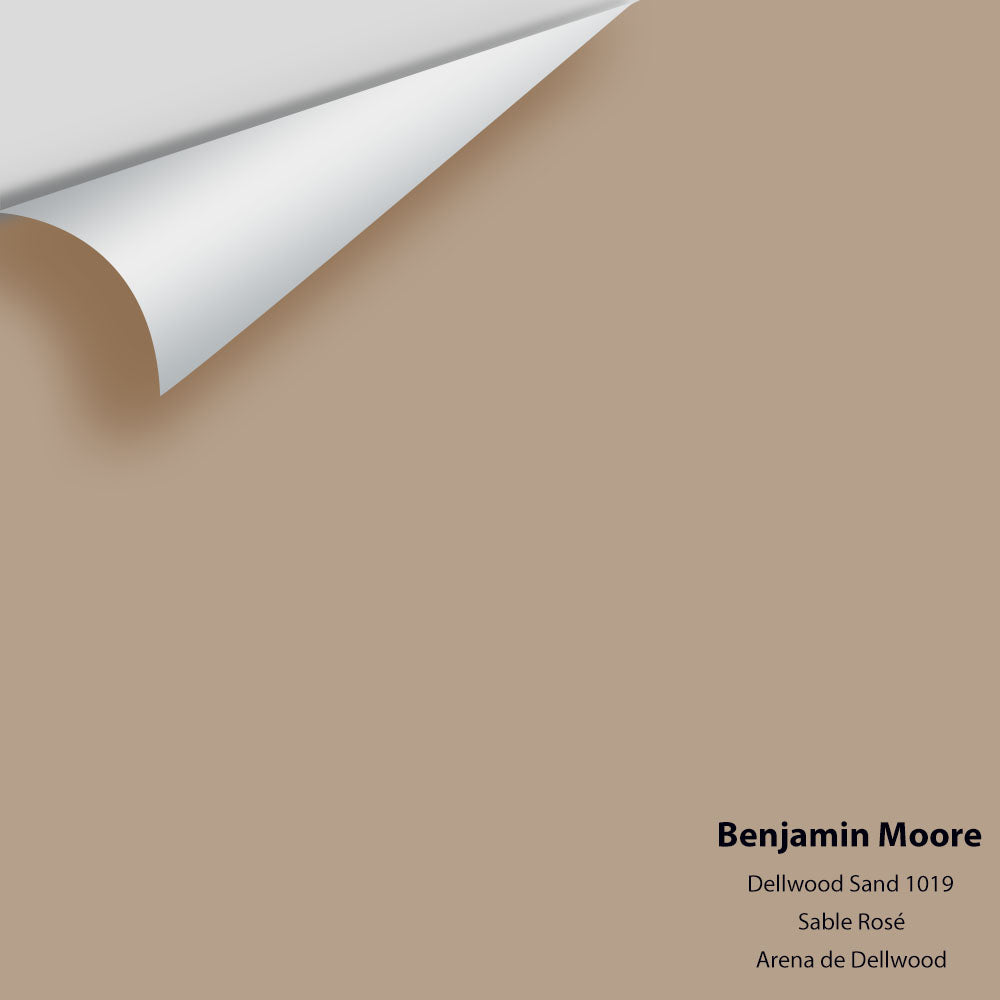 Digital color swatch of Benjamin Moore's Dellwood Sand 1019 Peel & Stick Sample available at Ricciardi BRothers in PA, DE, & NJ.