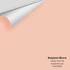 Digital color swatch of Benjamin Moore's Antique Coral 1198 Peel & Stick Sample available at Ricciardi BRothers in PA, DE, & NJ.
