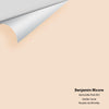 Digital color swatch of Benjamin Moore's Aphrodite Pink 895 Peel & Stick Sample available at Ricciardi BRothers in PA, DE, & NJ.