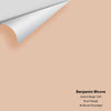 Digital color swatch of Benjamin Moore's Apricot Beige 1205 Peel & Stick Sample available at Ricciardi BRothers in PA, DE, & NJ.