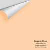 Digital color swatch of Benjamin Moore's Apricot Chiffon 136 Peel & Stick Sample available at Ricciardi BRothers in PA, DE, & NJ.