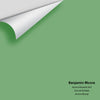 Digital color swatch of Benjamin Moore's Aurora Borealis 565 Peel & Stick Sample available at Ricciardi BRothers in PA, DE, & NJ.