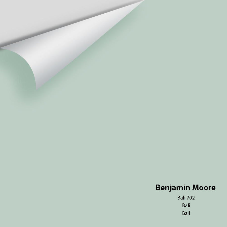Digital color swatch of Benjamin Moore's Bali 702 Peel & Stick Sample available at Ricciardi BRothers in PA, DE, & NJ.