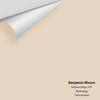 Digital color swatch of Benjamin Moore's Bayshore Beige 1079 Peel & Stick Sample available at Ricciardi BRothers in PA, DE, & NJ.