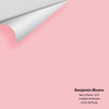 Digital color swatch of Benjamin Moore's Bed of Roses 1318 Peel & Stick Sample available at Ricciardi BRothers in PA, DE, & NJ.