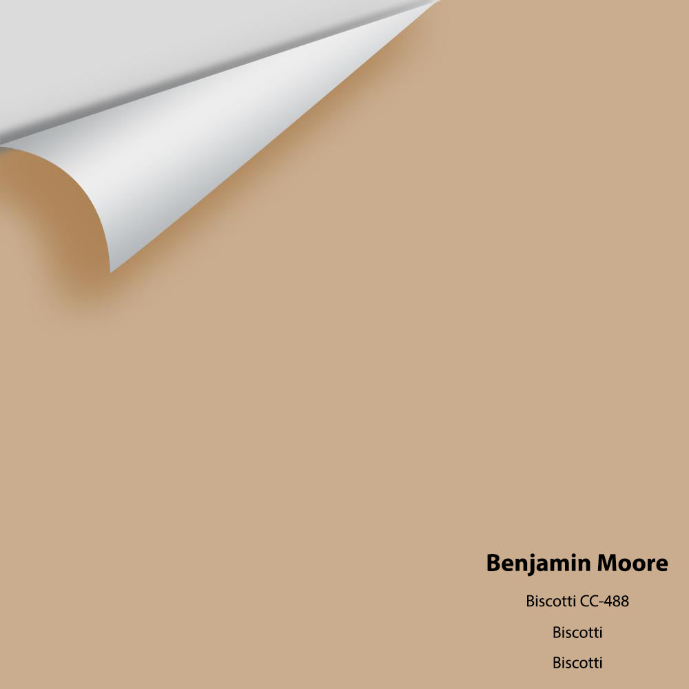 Digital color swatch of Benjamin Moore's Biscotti CC-488 Peel & Stick Sample available at Ricciardi BRothers in PA, DE, & NJ.