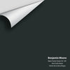 Digital color swatch of Benjamin Moore's Black Forest Green HC-187 Peel & Stick Sample available at Ricciardi BRothers in PA, DE, & NJ.