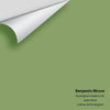 Digital color swatch of Benjamin Moore's Buckingham Gardens 545 Peel & Stick Sample available at Ricciardi BRothers in PA, DE, & NJ.