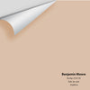 Digital color swatch of Benjamin Moore's Burlap 2163-50 Peel & Stick Sample available at Ricciardi BRothers in PA, DE, & NJ.