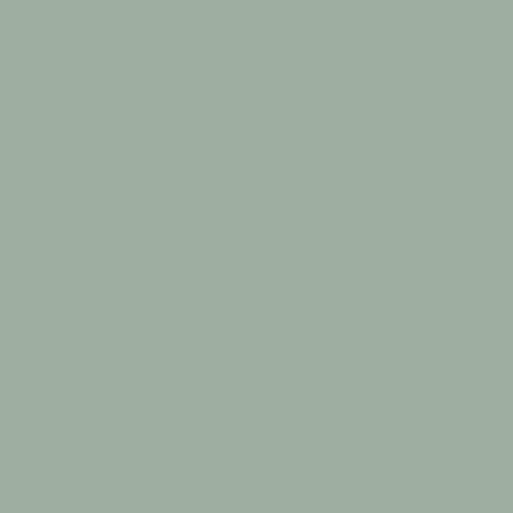 Green Blue Farrow & Ball, available at Ricciardi Brothers in NJ, Pa, and DE.