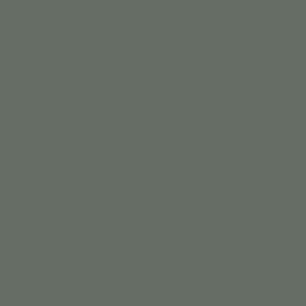 Green Smoke Farrow & Ball, available at Ricciardi Brothers in NJ, Pa, and DE.