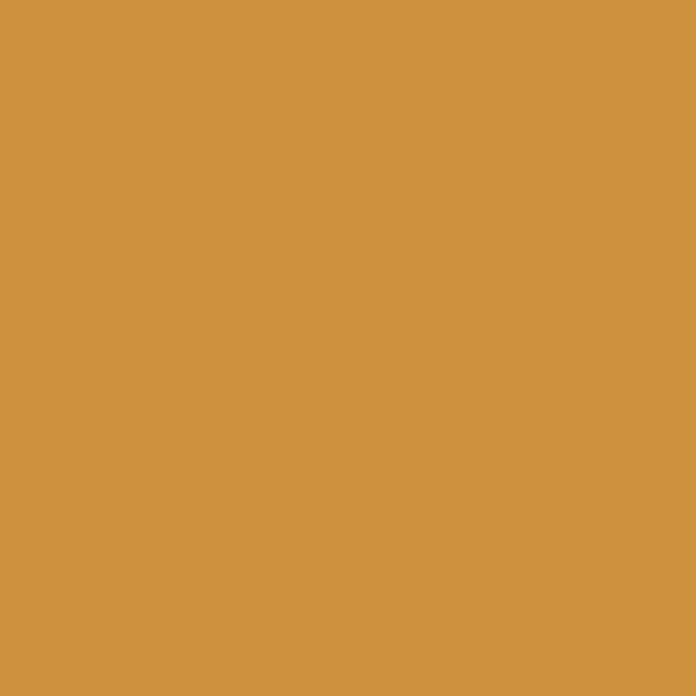 India Yellow Farrow & Ball, available at Ricciardi Brothers in NJ, Pa, and DE.