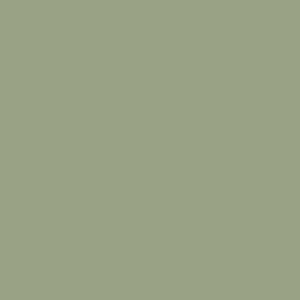 Lichen Farrow & Ball, available at Ricciardi Brothers in NJ, Pa, and DE.