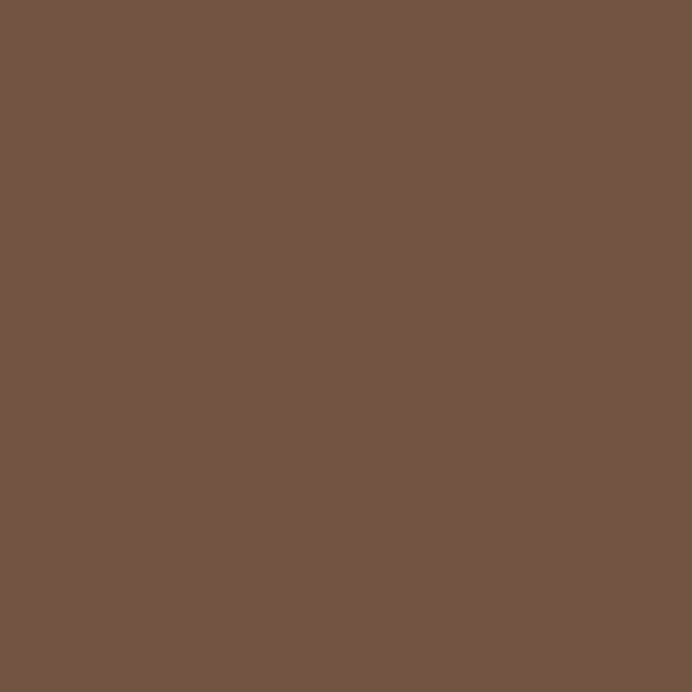 London Clay Farrow & Ball, available at Ricciardi Brothers in NJ, Pa, and DE.