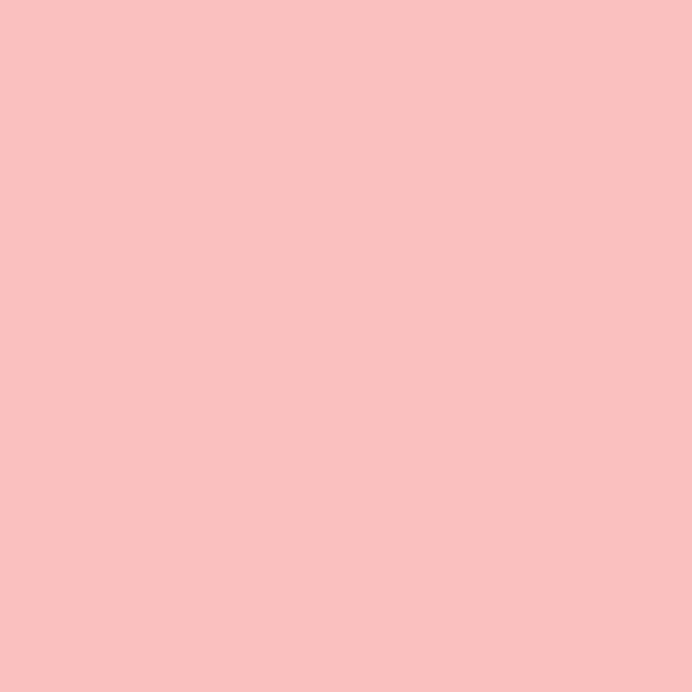 Nancy's Blushes Farrow & Ball, available at Ricciardi Brothers in NJ, Pa, and DE.