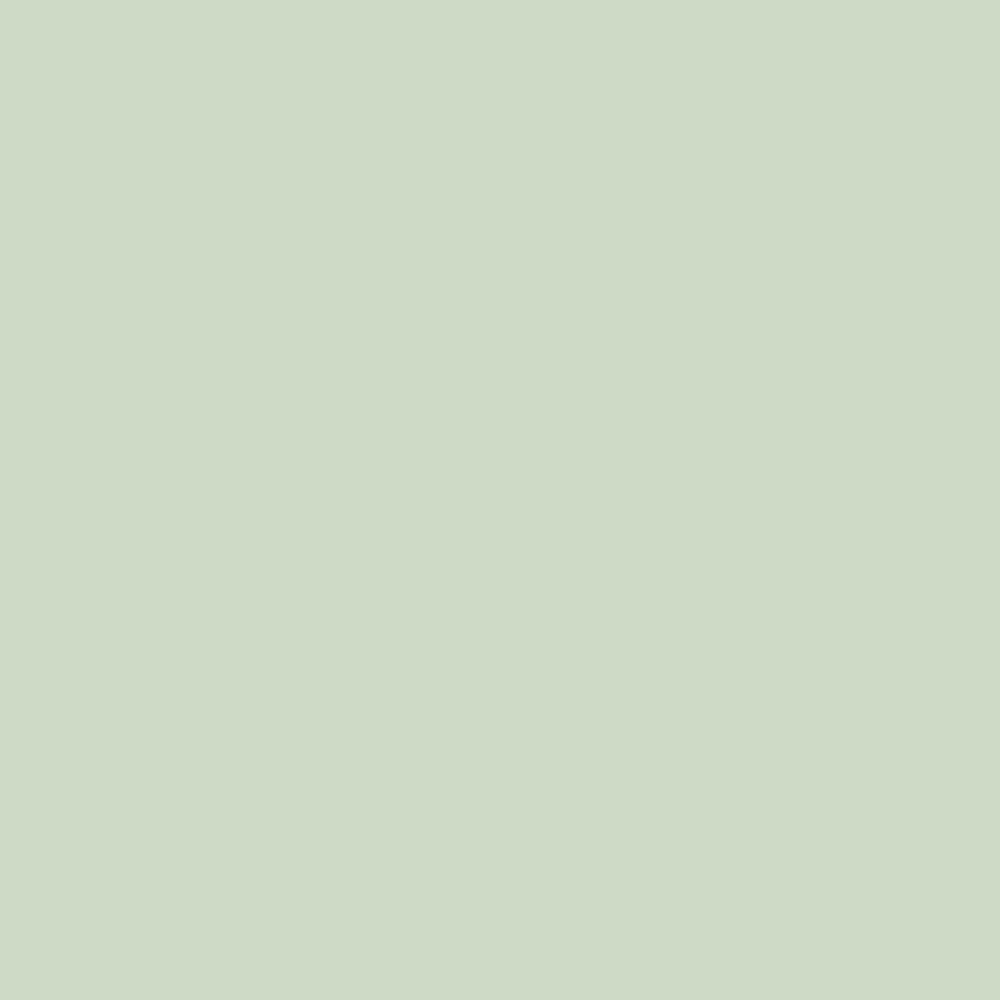 Pale Powder Farrow & Ball, available at Ricciardi Brothers in NJ, Pa, and DE.
