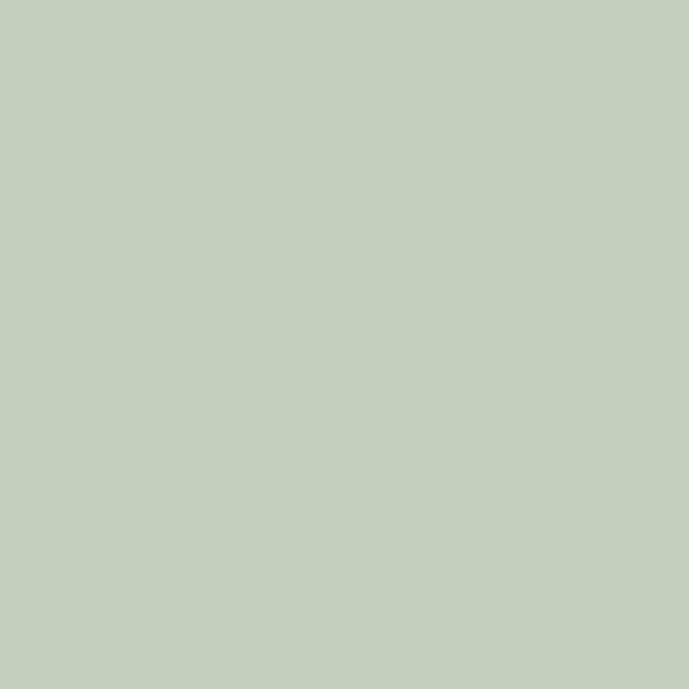 Palm Flat Color Chip Kelly Wearstler California Collection Farrow & Ball, available at Ricciardi Brothers in NJ, Pa, and DE.