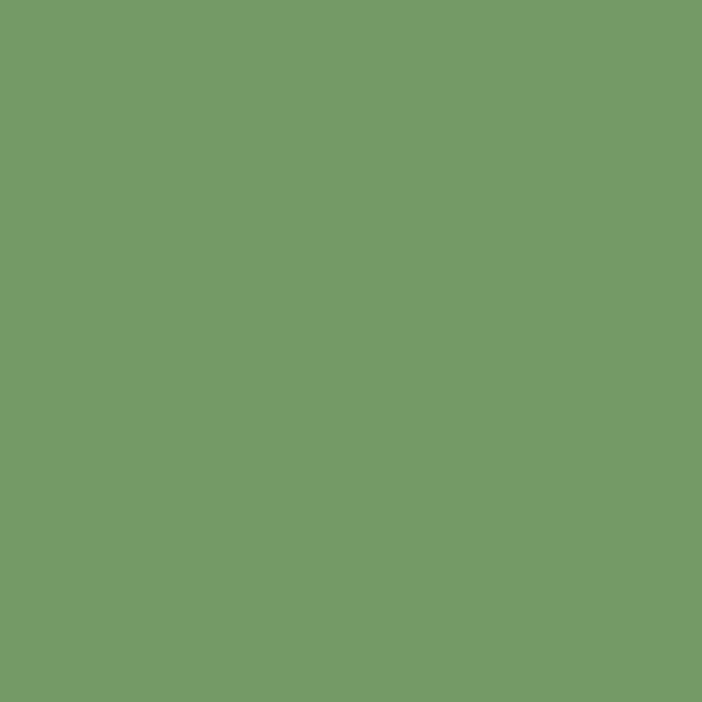 Digital representation of the paint color Raw Tomatillo No. CB6 by Farrow & Ball, available at Ricciardi Brothers in NJ, Pa, and DE.