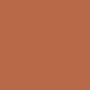 Red Earth Farrow & Ball, available at Ricciardi Brothers in NJ, Pa, and DE.