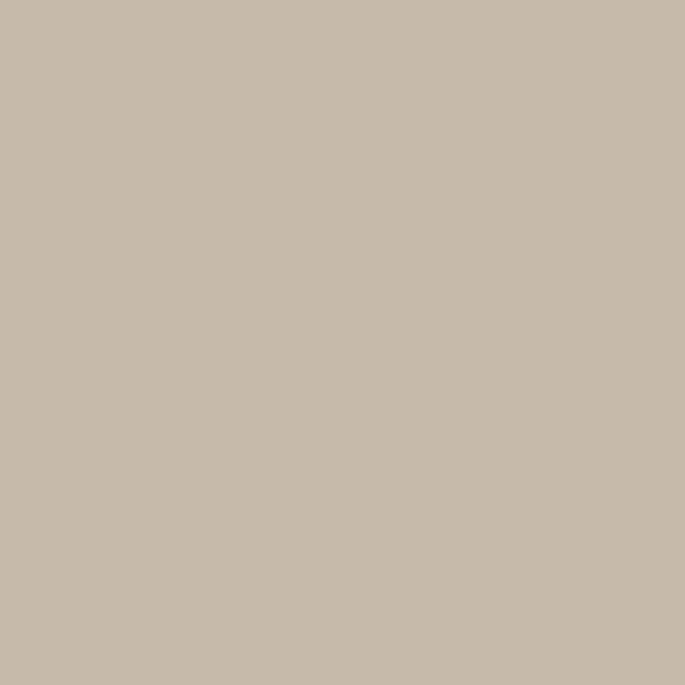 Digital representation of the paint color Roasted Macadamia No. CB2 by Farrow & Ball, available at Ricciardi Brothers in NJ, Pa, and DE.