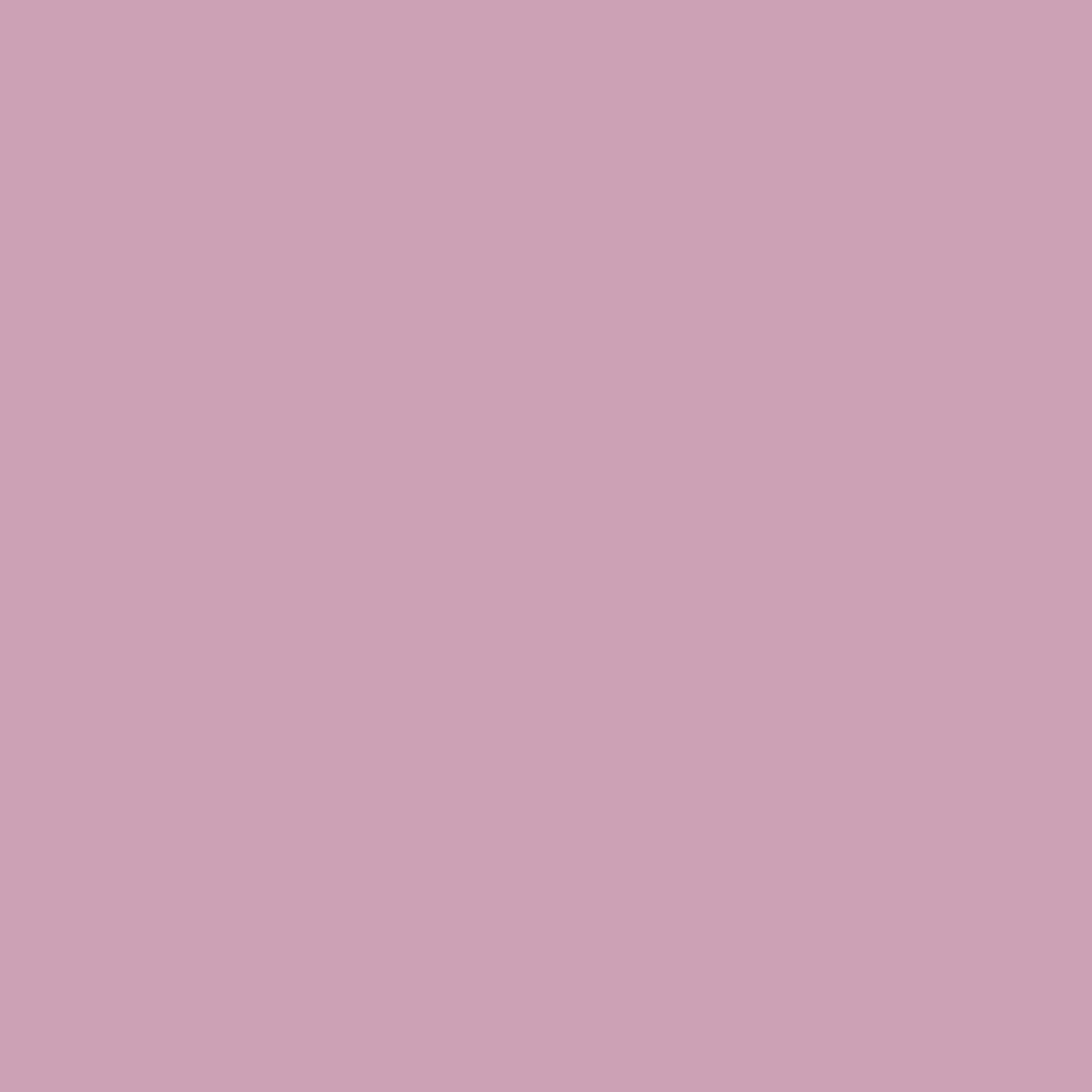 Digital representation of the paint color Shallot No. CB3 by Farrow & Ball, available at Ricciardi Brothers in NJ, Pa, and DE.