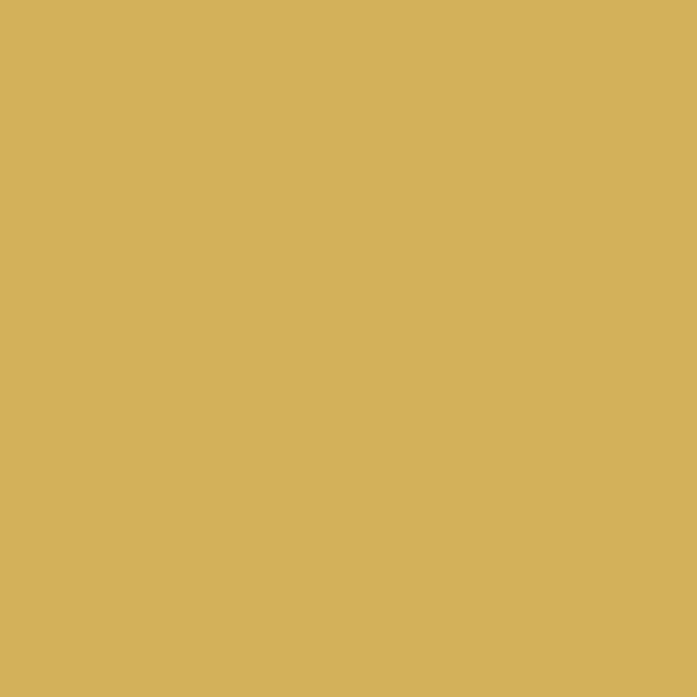 Sudbury Yellow Farrow & Ball, available at Ricciardi Brothers in NJ, Pa, and DE.