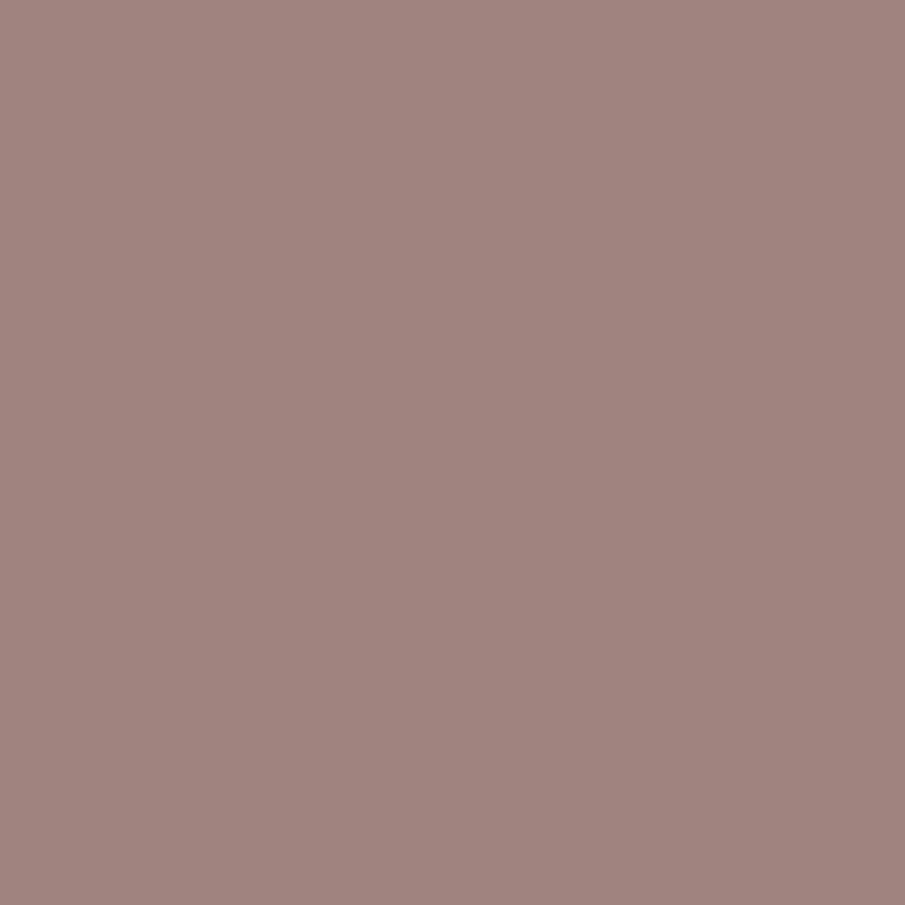 Sulking Room Pink Farrow & Ball, available at Ricciardi Brothers in NJ, Pa, and DE.