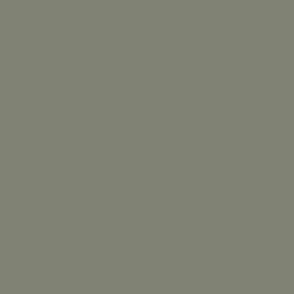 Treron Farrow & Ball, available at Ricciardi Brothers in NJ, Pa, and DE.