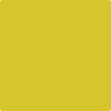 Benjamin Moore's 2024-30 Citron Paint Color