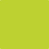 Benjamin Moore's 2026-30 Snow Cone Green Paint Color