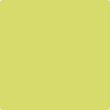 Benjamin Moore's 2027-40 Grape Green Paint Color