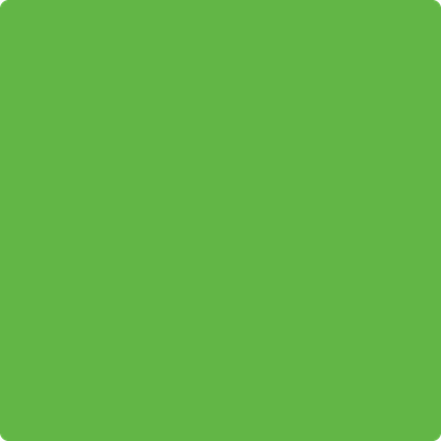 Benjamin Moore's 2031-20 Paradise Green Paint Color