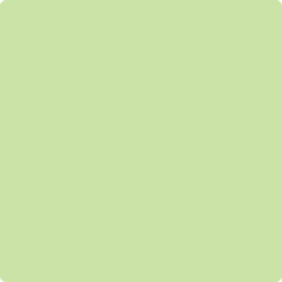 Benjamin Moore's 2031-50 Key Lime Paint Color