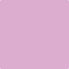 Benjamin Moore's 2074-50 Exotic Fuchsia Paint Color