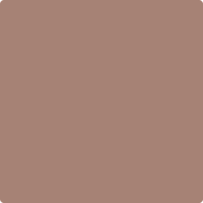 Benjamin Moore's 2095-40 Mudslide Paint Color