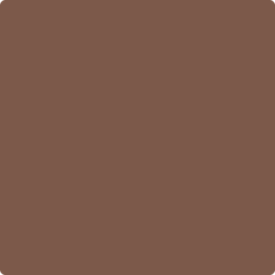 Benjamin Moore's 2097-30 Hedgehog Brown Paint Color