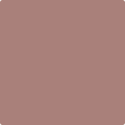 Benjamin Moore's 2102-40 Brown Teepee Paint Color